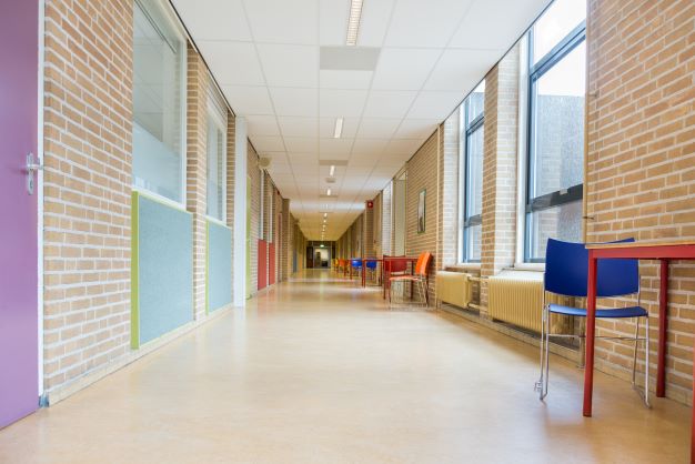 Schools and Universities